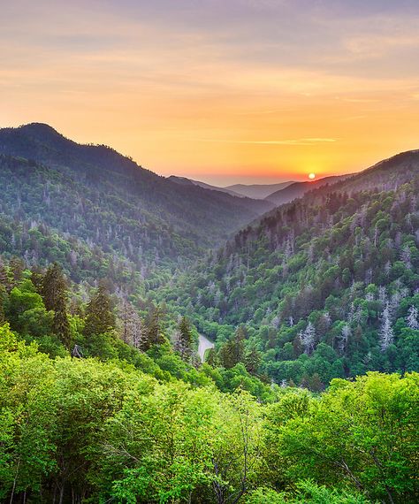 Camping In Tennessee, Sunset Flowers, Mountain Summer, Mountains Sunset, Mountain Aesthetic, Mountains Aesthetic, Photo Landscape, Rv Parks And Campgrounds, Tennessee Travel