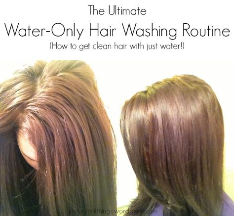 tips for water-only hair washing. I basically do this already (just kind of stopped using shampoo months ago, never washed it that often to begin with), but I need to up my pre-shower game with these extra steps. one thing this article doesn't say that I HIGHLY RECOMMEND is to COMB YOUR HAIR IN THE SHOWER (if it's curly like mine) No Shampoo Method, Water Only Hair Washing, No Poo Hair, No Shampoo, Hair Washing Routine, Hair Washing, Natural Hair Oils, Honey Hair, Hair Food