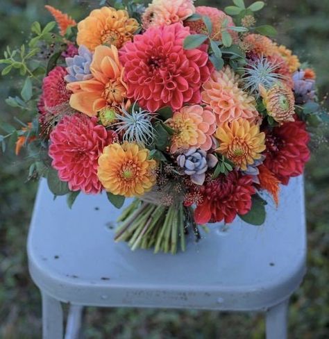 Dalia Bouquet, Bridal Bouquet Fall, Have A Beautiful Day, Air Plants, Love Flowers, Fresh Flowers, Dahlia, Bridal Bouquet, Beautiful Weddings