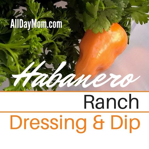 Habanero Ranch, Making Ranch Dressing, Ranch Dressing Dip, Ranch Dressing Recipe, Grocery Budget, Ranch Dressing Mix, Habanero Peppers, Cheese Ball Recipes, Organic Spice