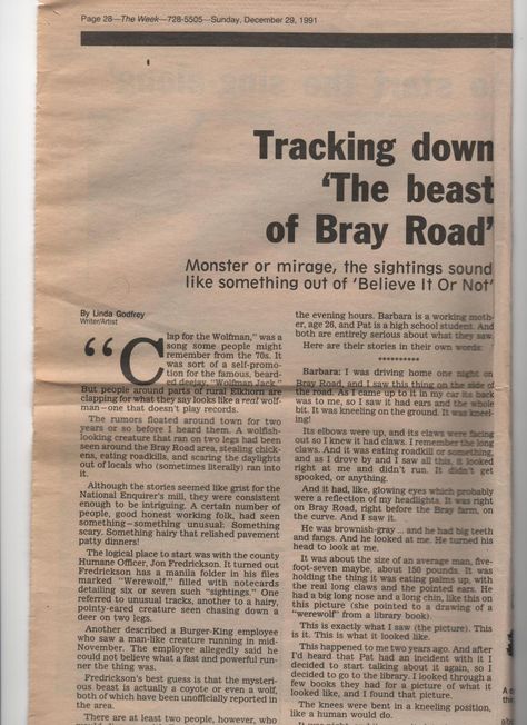 Believe it or not, Thursday was the 20th anniversary of my original news story on the creature I dubbed The Beast of Bray Road. Little did I know what it would lead to! And yes, although similar creatures are reported to me regularly from all over the US, the Beast is still spotted on Bray Road. by Linda S. Godfrey The Beast Of Bray Road, Beast Of Bray Road, Michigan Dogman, Bigfoot Stories, Darkest Academia, Fierce Lion, Strange Tales, Unexplained Phenomena, Dark Aesthetics