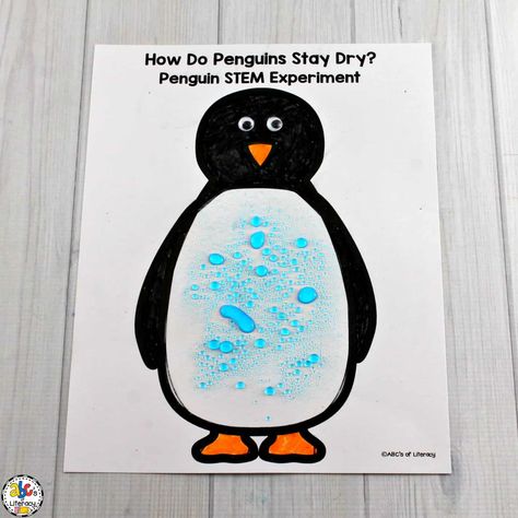 Penguin Activities for a Winter Animal Unit of Mini-Lesson Penguin Crafts Preschool, Penguin Science, Penguin Preschool, Penguin Life Cycle, Tacky The Penguin, Arctic Animals Crafts, Winter Animal Crafts, All About Penguins, Penguin Activities