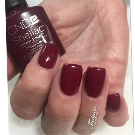 Dark Cnd Shellac Colors, Maroon Shellac Nails, Cnd Shellac Colors Fall 2023, Cnd Shellac Colors 2023, Maroon Nail Polish, Cranberry Nails, Autumn Winter Nails, Cnd Shellac Colors, Shellac Nail Colors