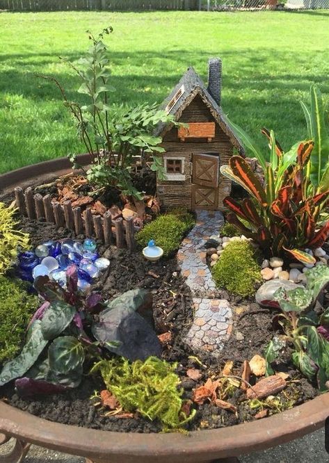 Diy Jardin, Fairy Garden Containers, Indoor Fairy Gardens, Diy Gnome, Fairy Garden Plants, Fairy Garden Ideas, Garden Houses, Fairy Garden Designs, Mini Fairy Garden