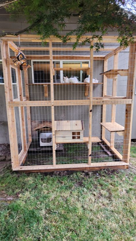 We built this cario for our 2 new additions to the family. Camper Catio, Diy Catios For Cats Outside Cheap, Diy Catios For Cats Outside Easy, Diy Catios For Cats Outside, Cat Catio, Catio Ideas, Diy Cat Enclosure, Herding Cats, Cats Outside