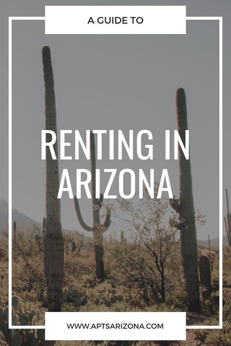 If you’re planning on renting in Arizona or even considering moving in general, you probably have a ton of questions floating through your mind. What things should I know before moving to Arizona? What’s the average rent price? What is the cheapest city to live in? How does renting in Arizona compare to other states? These questions may seem overwhelming but look no further because all these questions will be answered! Moving To Arizona Tips, Moving To Arizona, Renting Out Your House, Renter Hacks, Show Low Arizona, Apartment Marketing, Living In Arizona, Tucson Arizona, Moving Out