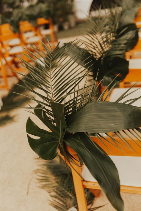 Tropical Chair Decor Wedding, Dark Green Tropical Wedding, Mexico Wedding Flowers, Tropical Minimalist Wedding, Minimal Tropical Wedding, Moody Tropical Wedding, Tropical Chic Wedding, Tropical Wedding Ceremony, Cuban Wedding