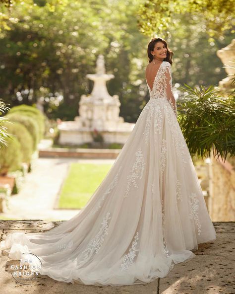 aire royale 2024-bridal-gown-collection-2023-2024-8400 Champagne Prom Dress, Embroidered Wedding Dress, Fairy Tale Wedding Dress, Stylish Wedding Dresses, Couture Wedding Gowns, Lace Ball Gowns, Cute Wedding Dress, Classic Wedding Dress, Embroidered Wedding