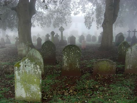 Misty Graveyard South Devon Old Cemetery, Baba Jaga, Cemetery Headstones, Between Two Worlds, Old Cemeteries, Cemetery Art, After Life, The Fog, Six Feet Under