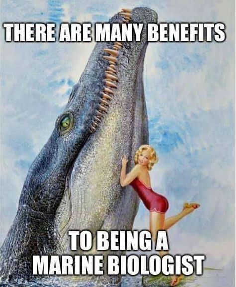 There Are Many Benefits To Being A Marine Biologist, Fools Day, Marine Biologist, The Crab, April Fools Day, Marine Biology, Prehistoric Animals, Dream Girl, April Fools