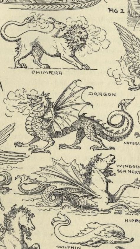 Medieval Fish Illustration, Medieval Art Dragon, Dragon Vintage Illustration, Dragonology Illustrations, Medieval Manuscript Tattoo, Fairytale Dragon Tattoo, Woodcut Dragon Tattoo, Medieval Unicorn Tattoo, Old Dragon Art