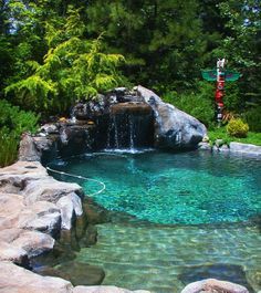 bio piscina on Pinterest | Natural Pools, Swimming Ponds and ... Piscina Laguna, Greenhouse Pool, Ponds Ideas, Pools Inground, Piscina Diy, Garden Igloo, Swimming Ponds, Evergreen Landscape, Natural Swimming Ponds