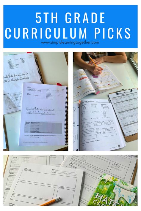 5th Grade Homeschool Curriculum 5th Grade Homeschool Curriculum, 5th Grade Curriculum, 5th Grade Homeschool, Math 5, Writing Curriculum, Math About Me, Math Words, School Curriculum, Novel Studies