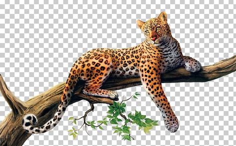 Leopard Drawing, Drawing Made Easy, Salvador Dali Paintings, Indian Army Wallpapers, African Leopard, Panther Cat, Dali Paintings, Bag Painting, Tiger Drawing