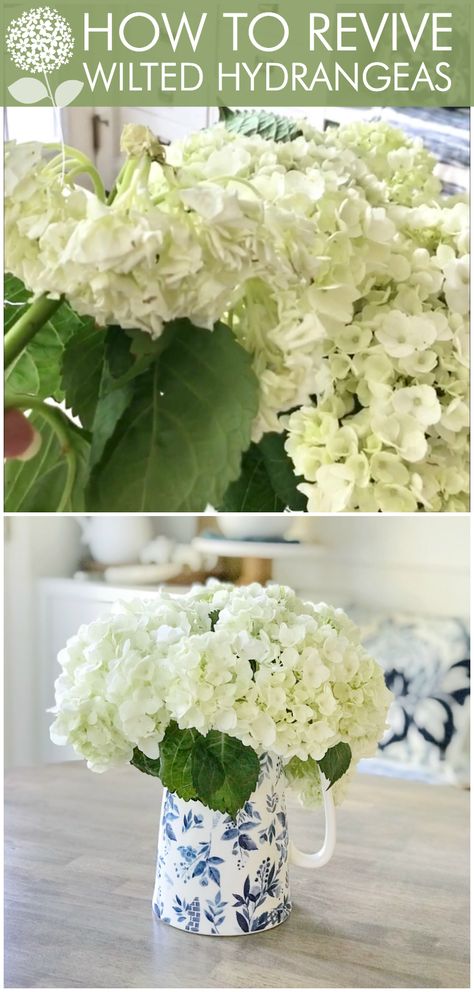 Flower Hack: Easy Tip on How to Revive Wilted Hydrangeas - Home Stories A to Z Hydrangea Varieties, Endless Summer Hydrangea, Hacks Lifehacks, Dried Wreath, Limelight Hydrangea, Hydrangea Care, Dried Hydrangeas, Growing Hydrangeas, Planting Hydrangeas