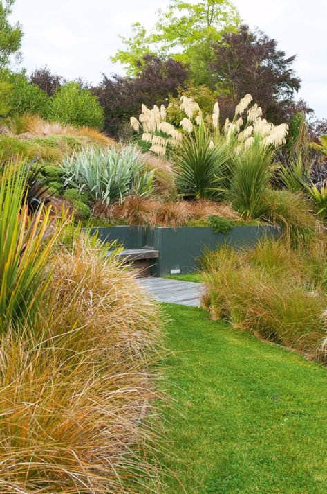 Garden Ideas Nz, Nz Plants, Nz Garden, Native Plant Landscape, Native Gardens, Meadow Garden, Australian Garden, Coastal Gardens, Grasses Garden