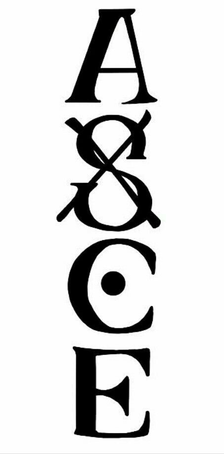 Ace Tattoo One Piece, Ace Tattoo, Tattoo Diy, Ace One Piece, One Piece Logo, Pola Tato, Typographie Inspiration, One Piece Tattoos, Pieces Tattoo