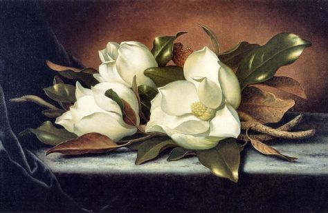 Giant Magnoliast MARTIN JOHNSON HEADE Martin Johnson Heade, Martin Johnson, Oil Painting Flowers, Oil Painting Reproductions, Magnolia Flower, Arte Floral, Still Life Painting, White Roses, Prints For Sale