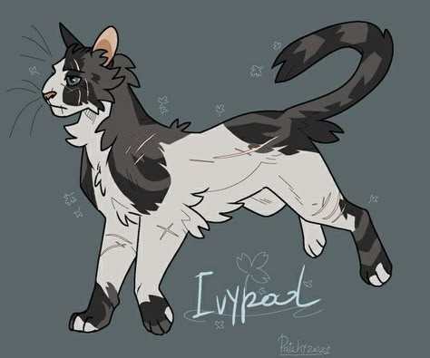 Warrior Cat Designs, Cat Draw, Warrior Oc, Warrior Cats Designs, Warrior Cat Art, Warrior Cats Series, Warrior Cats Oc, Animal Poses, Cat Poses