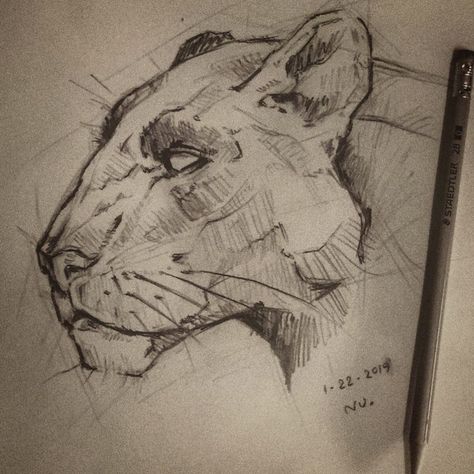 Black Lepord Drawing, Black Panther Drawing Animals Sketch, Black Panther Sketch Animal, How To Draw Panther, Panther Drawing Reference, How To Draw A Panther, Cute Panther Drawing, Jaguar Drawing Sketches, Black Jaguar Drawing