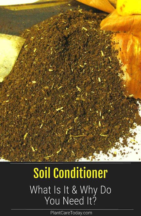 Soil Conditioner: Learn what soil conditioner is, how to tell if your soil needs them, why you need it, and how to use them. Amending Clay Soil, Vegetable Garden Soil, Manure Composting, Mushroom Compost, Soil Conditioner, Soil Texture, Natural Fertilizer, Organic Compost, Organic Mulch