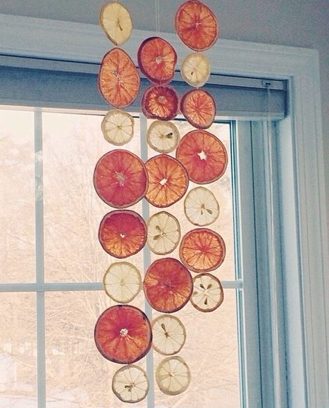 Hanging Dried Fruit, Dried Fruit Curtain, Dried Citrus Curtain, Dried Citrus Aesthetic, Dehydrated Fruit Decor, Dried Citrus Decor, Dried Citrus Decorations, Dried Fruit Decor, Dried Fruit Decorations