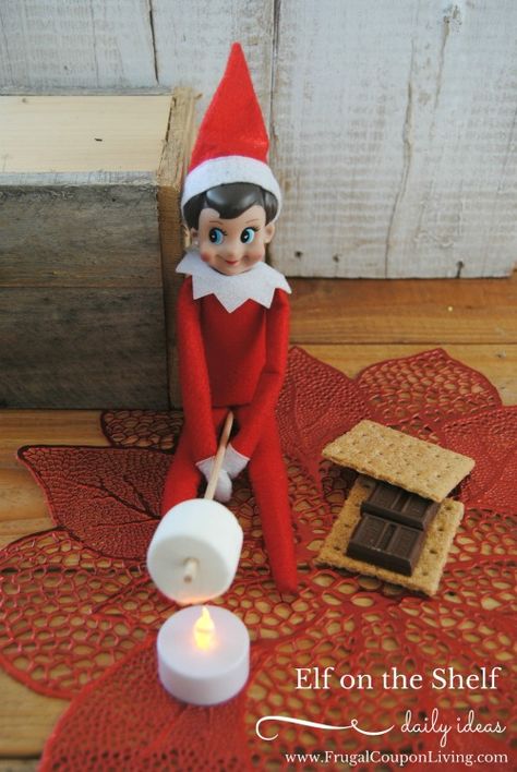 Looking for some great Elf On The Shelf ideas? This little guy sure does turn up in some interesting places and these are sure to make you giggle over the Christmas holidays! #ElfOnTheShelf Elf On The Shelves, Juleverksted For Barn, Elf Ideas Easy, Timmy Time, Elf Magic, Awesome Elf On The Shelf Ideas, Elf Activities, Xmas Elf, Elf Antics