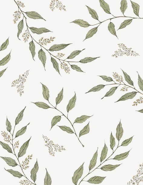 Eucalyptus Illustration Botanical, Botanical Pattern Design, Botanical Aesthetic Wallpaper, Pattern Paper Design, Botanical Pattern Illustration, Greenery Drawing, Botanic Wallpaper, Eucalyptus Illustration, Floral Pattern Illustration