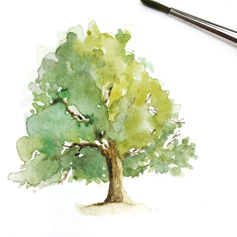 My first watercolor piece 😌😊 Tree Painting Easy, Watercolor Painting For Beginners, Tree Watercolor Painting, Tree Watercolor, Simple Tree, Watercolor Paintings For Beginners, Architecture Art Design, Watercolor Tree, Painting For Beginners