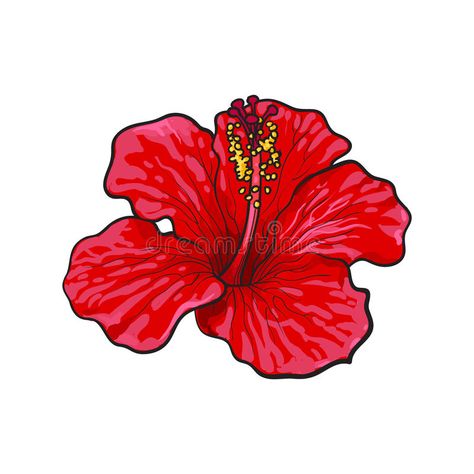 Hibiscus Flower Background, Jamaica Flower, Hibiscus Drawing, Hibiscus Flower Drawing, Flower Sketch, Red Hibiscus, Punk Art, Flower Sketches, Flower Background