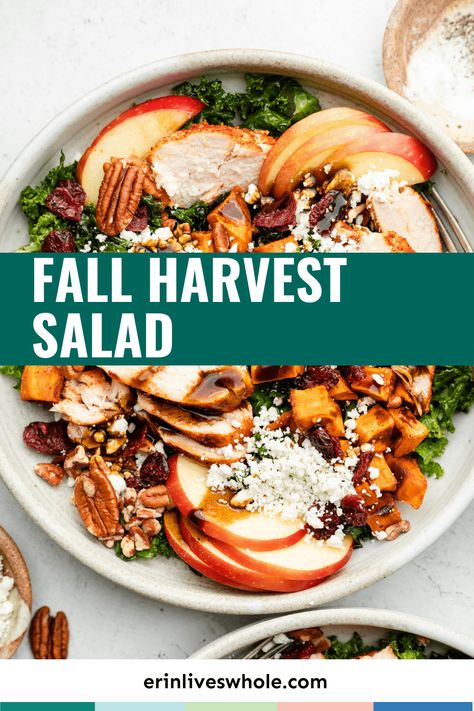 Embrace all of the autumn vibes with this tasty Fall Harvest Salad. Made with sweet potato, chicken breast, cranberries, and pecans, it's a delicious meal sure to leave you full and satisfied for hours. Cranberry Quinoa Salad, Fall Harvest Salad, Sweet Potato Chicken, Potato Chicken, Clean Eating Chicken, Corn Dishes, Harvest Salad, Veggie Noodles, Salad Pasta