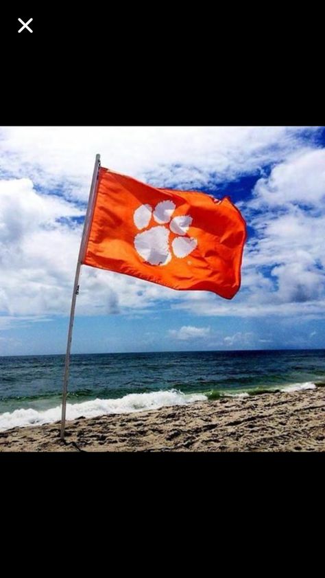 Two of my favorite things...the beach and Clemson! Clemson Logo, Clemson Baby, Clemson Tailgating, Clemson Tiger Paw, Clemson Baseball, Flight 93, Clemson Tigers Football, Clemson Fans, Tiger Roaring