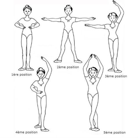 Barre au sol : 12 exercices pour un corps de danseuse Ballet Terms, Ballet Basics, Beginner Ballet, Dance Coloring Pages, Ballerina Workout, Ballet Stretches, Ballet Positions, Dance Stretches, Ballet Lessons