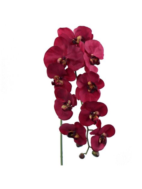 Create a sophisticated ambiance with the Luxurious 34" Burgundy Artificial Phalaenopsis Orchid. This realistic silk flower decor is perfect for home, office, and weddings, adding an elegant touch to any space. Silk Flower Decor, Weddings Elegant, Silk Orchids, Artificial Orchids, Phalaenopsis Orchid, Flower Decor, Silk Flower, Elegant Floral, Floral Decor