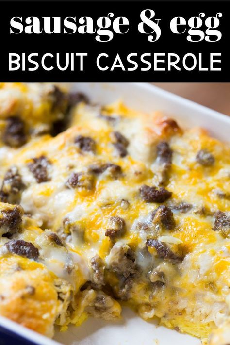 Biscuit Casserole Breakfast, Sausage Egg Cheese Biscuit, Sausage Egg And Cheese Biscuit, Brunch Sausage, Biscuit Breakfast Casserole, Egg And Cheese Biscuit, Egg And Cheese Casserole, Biscuit Breakfast, Biscuit Casserole