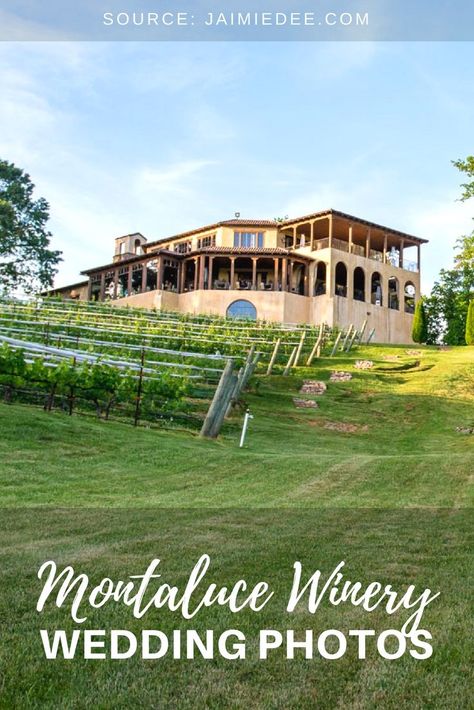 Georgia Wedding Venues Affordable, Wedding Photography Poses Unique, Montaluce Winery Wedding Georgia, Callaway Winery Wedding, North Georgia Wedding Venues, Winery Wedding Photos, Vineyard Wedding Venue, Atlanta Wedding Venues, Atlanta Wedding Photography