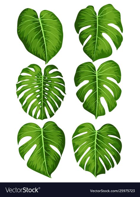 Watercolor Tropical Plants, Big Green Leaves, Big Leaf Plants, Bujo Themes, Leaves Illustration, Leaf Illustration, Plant Vector, Leaf Drawing, Big Leaves