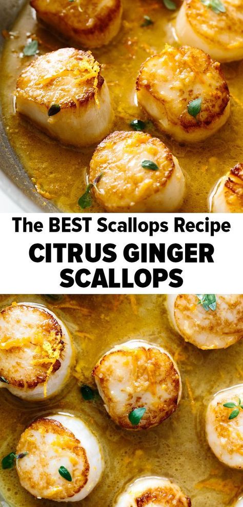 Best Scallop Recipe, Bay Scallop Recipes, Healthy Dinner Recipe, Coquille Saint Jacques, Ginger Sauce, Scallop Recipes, Keto Paleo, Minced Meat, Saint Jacques