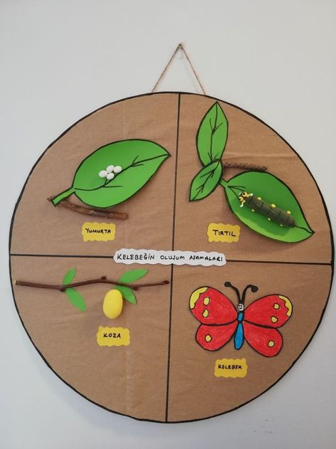 Butterfly Circle Of Life, Hungry Caterpillar Activities, Spring Crafts Preschool, Hand Art Kids, Circle Crafts, Insects Theme, Science Crafts, Classroom Art Projects, Theme Nature