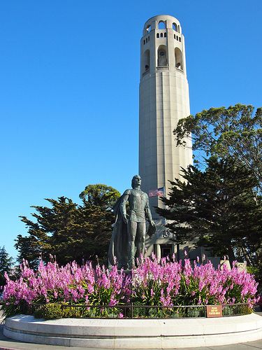 Coit Tower San Francisco, City Lights Bookstore, Alamo Square, San Francisco Photography, Sao Francisco, Pacific Heights, Lombard Street, Dice Tower, Fishermans Wharf