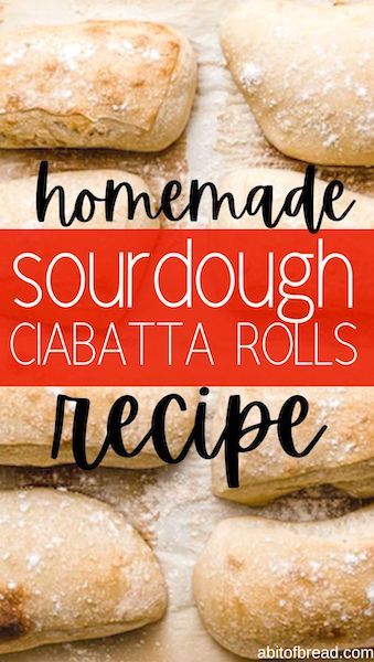 Ciabatta Rolls Recipe, Sourdough Ciabatta, Homemade Ciabatta Bread, Ciabatta Bread Recipe, Ciabatta Rolls, Fermented Bread, High Protein Flour, Recipe Using Sourdough Starter, Ciabatta Roll