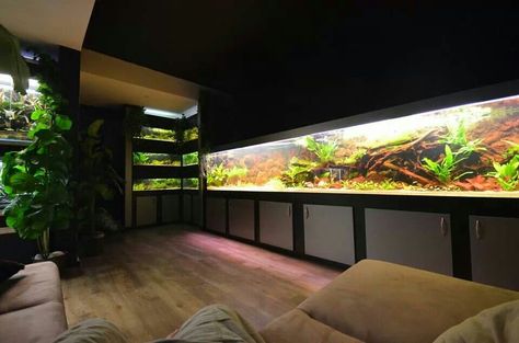 Awesome fish room Fish Room, Coral Room, Discus Aquarium, Fish Tank Stand, Amazing Aquariums, Reptile House, Fish Tank Terrarium, Fishing Room, Reptile Room