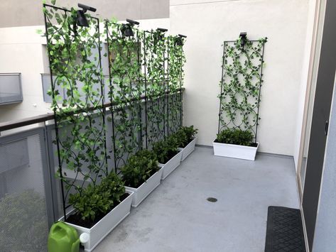 Home Depot Patio Ideas, Balcony Trellis Ideas, Ideas For Privacy From Neighbors, Privacy Planters For Patio, Small Balcony Privacy Ideas, Balcony Privacy Ideas Diy, Balcony Screening Ideas, Privacy Vines, Balcony Planter Ideas