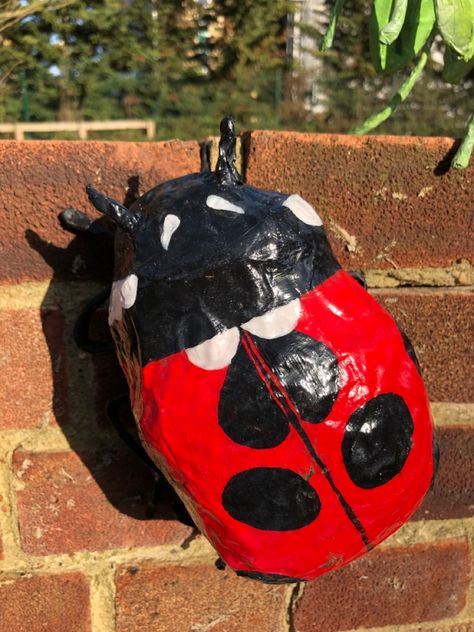 Paper Mache Ladybug, Paper Mache Beetle, Cardboard Bugs, School Props, Paper Mache Sculpture, Paper Mache, Bugs, Art Inspiration, Sculpture