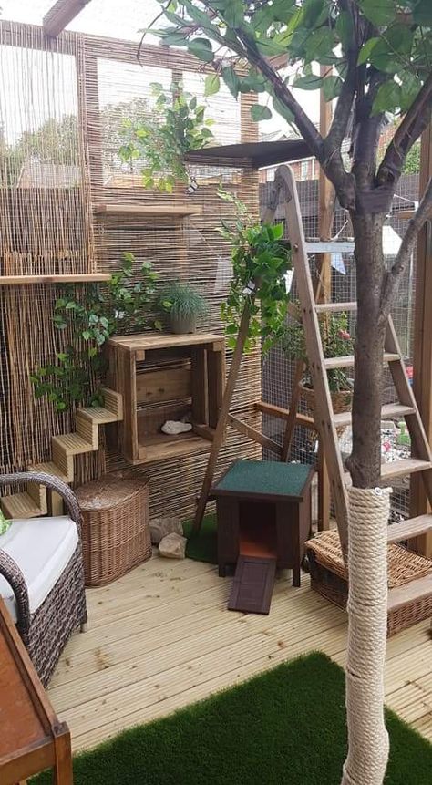 Luxury Catio Cats, Small Catio Ideas Cat, Diy Cat Patio, Cat Obstacle Course, Catio Patio, Catio Ideas Cat, Cat Shed, Cattery Ideas, Outdoor Cat Run