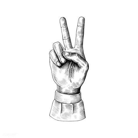 Sketched hand showing victory sign | premium image by rawpixel.com Victory Sign, Business Symbols, How To Draw Fingers, Peace Fingers, Joker Comic, Sketch Icon, Draw Hands, Hands Icon, Pointing Hand