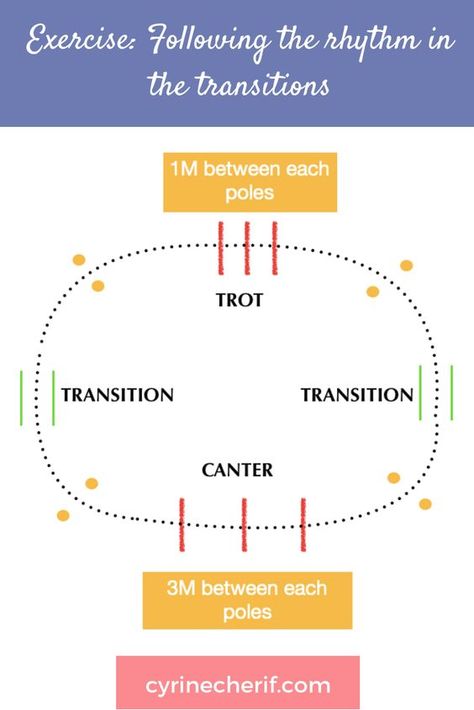 Horse Jumping Exercises, Riding Ideas, Jumping Exercises, Riding Exercises, Dressage Exercises, Trail Riding Horses, Horse Training Exercises, Horseback Riding Lessons, Horse Lessons