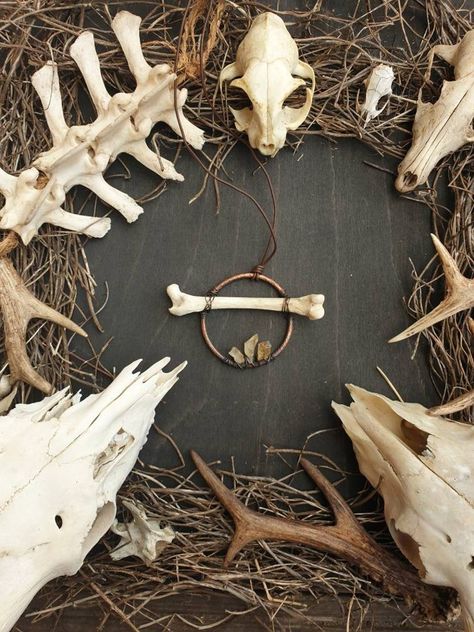 Diy Antler, Real Bone Jewelry, Animal Bone Jewelry, Skull Crafts, Steampunk Crafts, Rust Patina, Taxidermy Art, Bone Crafts, Bone Art