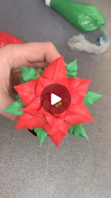 Debbie Bakes on Instagram: "It’s Poinsettia season! 

Nozzles used - 366, 352 and a small open tip, I just used my coupler here 🤩
.
.
.
.
.
.
.
.
.
.
.
.
.
#christmasreels #christmas2022
#christmacakeideas #cakestuff
#cakeideas #cupcakes #cupcakereel
#cupcakepiping #cakereel #fife #cake #cupcakes
#cakedecorating #cakereel #poinsettia #buttercreamflowers #cupcakepipingreel #relaxingvideos" Poinsettia Cake, Cupcake Piping, How To Make Icing, Rose Cupcakes, Cake Cupcakes, Christmas Rose, Buttercream Flowers, Christmas Poinsettia, November 3