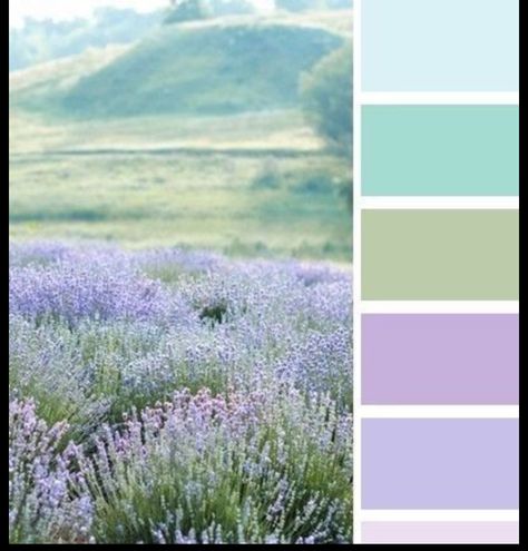 Lavender And Teal Color Palette, Lavender Mint Color Palette, Lavander Palette Color, Lavender And Mint Color Palette, Colors That Go Well With Lavender, Lavender Palette Colour Schemes, French Blue And Lavender Wedding, Lavender Blue Bedroom, Periwinkle Wedding Color Palette